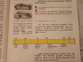 Dovanoju Lt Istorijos Skaitinių Vadovėlį - nuotraukos Nr. 6