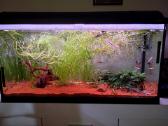 Parduodu 3 akvariumus