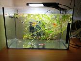 Parduodu 3 akvariumus - nuotraukos Nr. 2