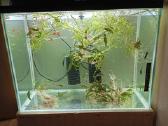 Parduodu 3 akvariumus - nuotraukos Nr. 3