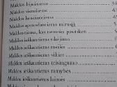 100 maldų neturintiems laiko - nuotraukos Nr. 4