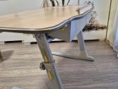 Ergonominis rašomasis stalas Meyer