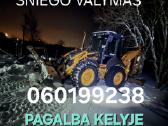 Žolės pjovimas,mulčevimas. Klaipėdos r. - nuotraukos Nr. 12