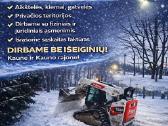 Sklypu ir aplinkos tvarkymas Bobcat nuoma Kaunas - nuotraukos Nr. 7