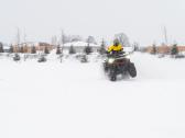 Goes Terrox by Cfmoto 1000cc Premium - nuotraukos Nr. 13