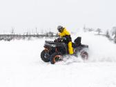 Goes Terrox by Cfmoto 1000cc Premium - nuotraukos Nr. 18