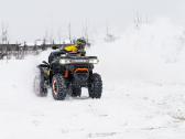Goes Terrox by Cfmoto 1000cc Premium - nuotraukos Nr. 32
