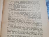 1925 m.j.s-lius knyga "Iš didžiojo Vilniaus seimo - nuotraukos Nr. 4