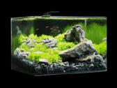 Dennerle akvariumas - nuotraukos Nr. 4