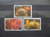 1988 m. Flora - kaktusai