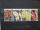 1991 m. Orchidėjos