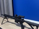 Ar15 Savage