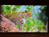 Samsung Qe55qn85 4k 120hz, Hdr Youtube Netflix Go3 - nuotraukos Nr. 7