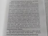 Mes statėme Klaipėdą - nuotraukos Nr. 3