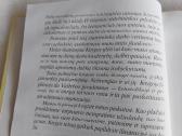 Mes statėme Klaipėdą - nuotraukos Nr. 4