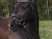 Parduodama arba keičiama pony kumele - nuotraukos Nr. 5