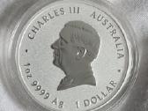 2025 Year of the Snake 1oz (Lunar III) colored - nuotraukos Nr. 2