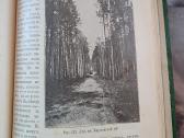 1915 m.knyga "Rusijos imperijos geografija" - nuotraukos Nr. 7