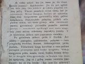 1929 m.knyga "Visuomenės įnamiai" - nuotraukos Nr. 3