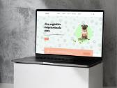 Wordpress svetainių kūrimas ir atnaujinimas - nuotraukos Nr. 8