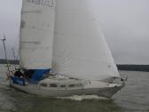 Parduodama jachta Shipman 28 - nuotraukos Nr. 9