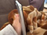 Lenovo tab M10 OS 11 - nuotraukos Nr. 4