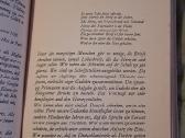 Meilės leksikonas - nuotraukos Nr. 11