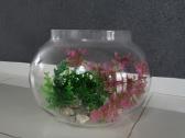 Akvariumas su filtru ir kitais priedais