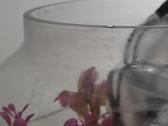 Akvariumas su filtru ir kitais priedais - nuotraukos Nr. 5