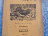 1929 m.m.bogdanovo knyga "Visuomenės įnamiai"