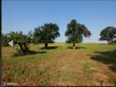 Autentišką sodybą Kelmės raj. Pikelių km. - nuotraukos Nr. 15