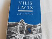 Žvejo sūnus
