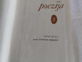 Dvidešimto amžiaus lietuvių poezija 2 - nuotraukos Nr. 2