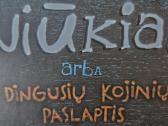 Nauja knyga "Kniūkiai, arba Pabėgusių kojinių isto - nuotraukos Nr. 2