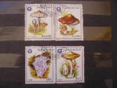1986 m. Grybai