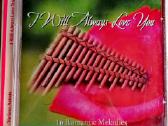 CD Pano Fleita, instrumentinė muzika - nuotraukos Nr. 3