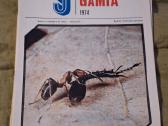 Mūsų gamta - nuotraukos Nr. 10