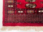 Vilnonis r.d. kiliminis takas "Bukhara" - nuotraukos Nr. 7