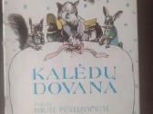 Birutė Pūkelevičiūtė "Kalėdų dovana"