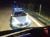 Licencijuotas transporto vadybininkas - nuotraukos Nr. 2