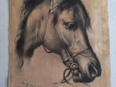 Landseer arklio studija 1902m litografija kartonas - nuotraukos Nr. 2