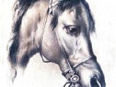 Landseer arklio studija 1902m litografija kartonas - nuotraukos Nr. 3