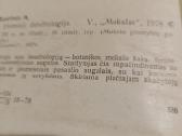 Įdomioji dendrologija - nuotraukos Nr. 2