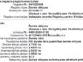 Buivydžių sen. (Nemenčinės kryptis) Punžonių k. - nuotraukos Nr. 8