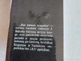 Kas dainon nesudėta - nuotraukos Nr. 3