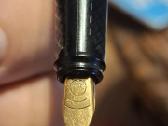 Plunksnakotis ,Pelikan'' - nuotraukos Nr. 14