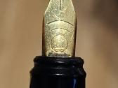 Plunksnakotis ,Pelikan'' - nuotraukos Nr. 15