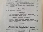 "Naujoji Vaidilutė" 1936m - nuotraukos Nr. 5
