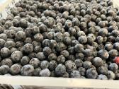 Parduodame graikiškas braškes urmu - nuotraukos Nr. 7