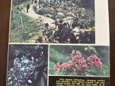 Žurnalas Mūsų Sodai 1977 m1 - nuotraukos Nr. 2